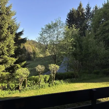 Peaceful In Winterberg, Cleaning Included Βίντερμπεργκ
